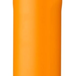 FreeSip Insulated Stainless Steel Water Bottle with Straw for Sports and Travel, BPA-Free, 24-oz, Orchid/Orange (Tropical)